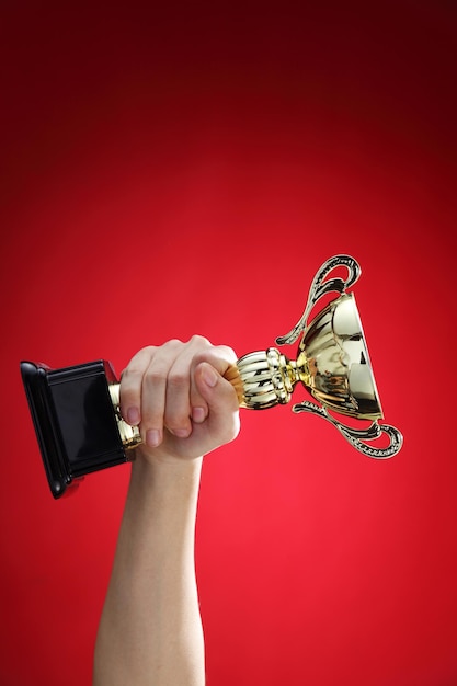 双色球彩票与选号策略