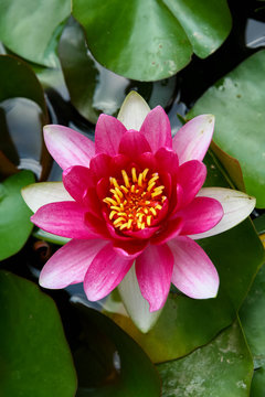 安全购彩，赢取大奖