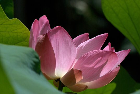 双色球投注直播现场